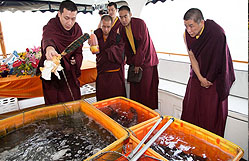 Gyalwa Karmapa fish release ceremony
