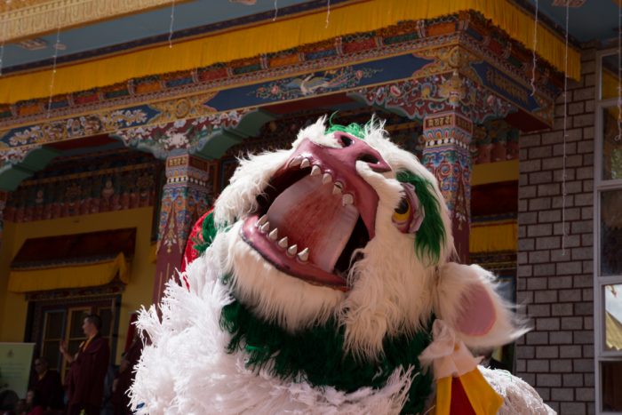 Lion Dance by Rumtek monks during the inauguration of Karma Dupgyud Choeling Monastery. Photo / Magda Jungowska.