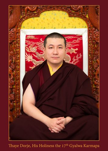 Official portrait of Thaye Dorje, His Holiness the 17th Gyalwa Karmapa. Photo / Thule Jug