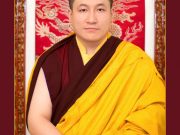 Official portrait of Thaye Dorje, His Holiness the 17th Gyalwa Karmapa. Photo / Thule Jug