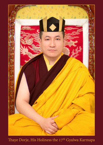 Official portrait of Thaye Dorje, His Holiness the 17th Gyalwa Karmapa. Photo / Thule Jug