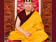 Official portrait of Thaye Dorje, His Holiness the 17th Gyalwa Karmapa. Photo / Thule Jug