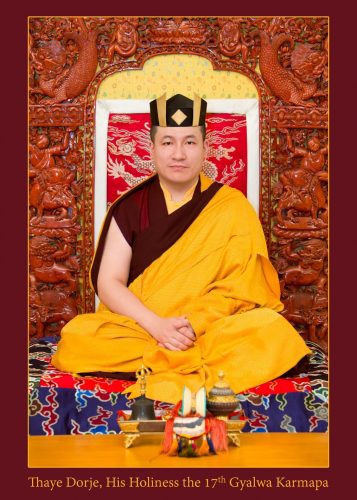 Official portrait of Thaye Dorje, His Holiness the 17th Gyalwa Karmapa. Photo / Thule Jug