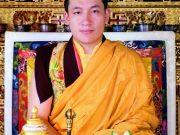 Official Portrait of His Holiness Karmapa Thaye Dorje