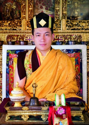 Official Portrait of Thaye Dorje, His Holiness the 17th Gyalwa Karmapa