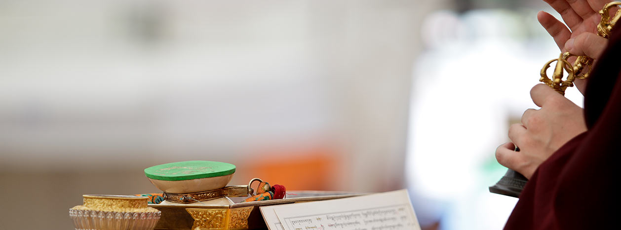 The vision of His Holiness Karmapa Thaye Dorje