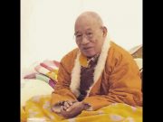 Do Drubchen Rinpoche