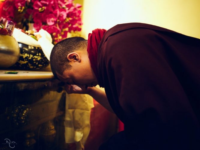 Thaye Dorje, His Holiness the 17th Gyalwa Karmapa, at the Kagyu Monlam. Photo / Tokpa Korlo