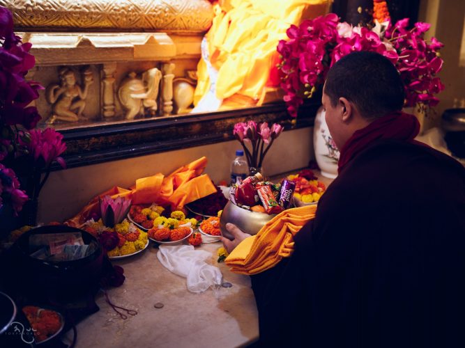 Offerings at Bodh Gaya. Photo / Tokpa Korlo