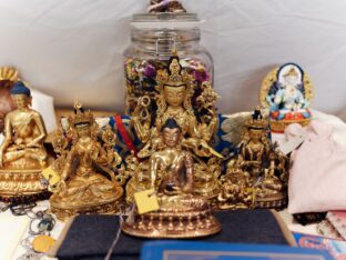 Thaye Dorje, His Holiness the 17th Gyalwa Karmapa, visits Dhagpo Möhra. Photo / Tokpa Korlo