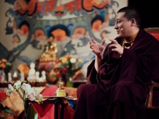 Thaye Dorje, His Holiness the 17th Gyalwa Karmapa, visits Renchen-Ulm in Germany. Photo / Tokpa Korlo