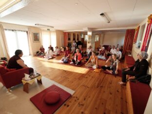 Thaye Dorje, His Holiness the 17th Gyalwa Karmapa, visits Renchen-Ulm in Germany. Photo / Tokpa Korlo