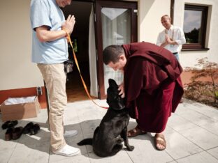 Thaye Dorje, His Holiness the 17th Gyalwa Karmapa, visits Renchen-Ulm in Germany. Photo / Tokpa Korlo