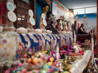 Thaye Dorje, His Holiness the 17th Gyalwa Karmapa, visits Spain, 2023. Photo: Tokpa Korlo.