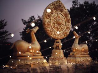 Kagyu Monlam 2023 at Bodh Gaya. Photo: Tokpa Korlo