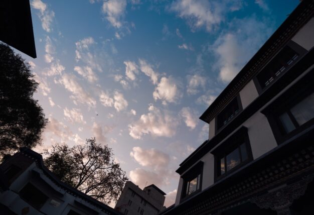 Thaye Dorje, His Holiness the 17th Gyalwa Karmapa, presided over the Karmapa Public Course 2024 in KIBI, New Delhi. Photo: Tokpa Korlo.