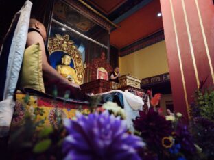 Thaye Dorje, His Holiness the 17th Gyalwa Karmapa, presided over the Karmapa Public Course 2024 in KIBI, New Delhi. Photo: Tokpa Korlo.