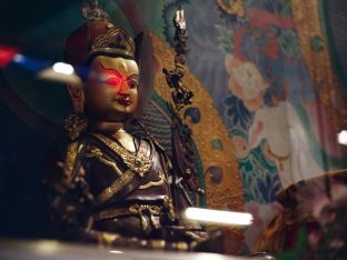 Thaye Dorje, His Holiness the 17th Gyalwa Karmapa, in Kalimpong. Photo: Tokpa Korlo