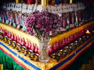 Thaye Dorje, His Holiness the 17th Gyalwa Karmapa, in Kalimpong. Photo: Tokpa Korlo