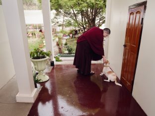 Thaye Dorje, His Holiness the 17th Gyalwa Karmapa, in Kalimpong. Photo: Tokpa Korlo