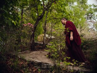 Thaye Dorje, His Holiness the 17th Gyalwa Karmapa, in Kalimpong. Photo: Tokpa Korlo