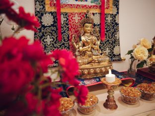 Thaye Dorje, His Holiness the 17th Gyalwa Karmapa, visits Dhagpo Mohra