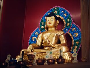 Thaye Dorje, His Holiness the 17th Gyalwa Karmapa, visits Karma Kunga Padkar Ling. Photo: Tokpa Korlo.