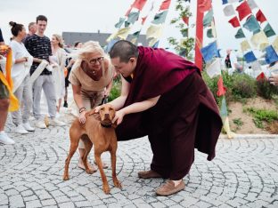 Thaye Dorje, His Holiness the 17th Gyalwa Karmapa, visits Karma Kunga Padkar Ling. Photo: Tokpa Korlo.