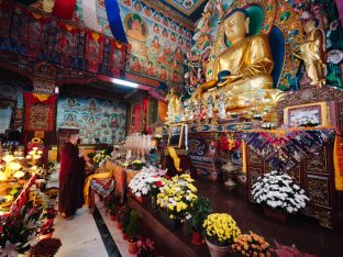 Thaye Dorje, His Holiness the 17th Gyalwa Karmapa, visits Dhagpo Sheydrub Ling. Photo: Tokpa Korlo