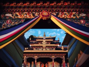 Thaye Dorje, His Holiness the 17th Gyalwa Karmapa, visits Dhagpo Sheydrub Ling. Photo: Tokpa Korlo