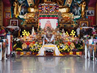Thaye Dorje, His Holiness the 17th Gyalwa Karmapa, visits Dhagpo Sheydrub Ling. Photo: Tokpa Korlo