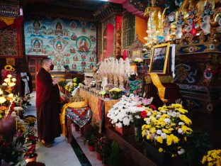 Thaye Dorje, His Holiness the 17th Gyalwa Karmapa, visits Dhagpo Sheydrub Ling. Photo: Tokpa Korlo