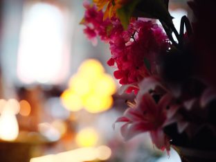 Thaye Dorje, His Holiness the 17th Gyalwa Karmapa, visits Dhagpo Sheydrub Ling. Photo: Tokpa Korlo