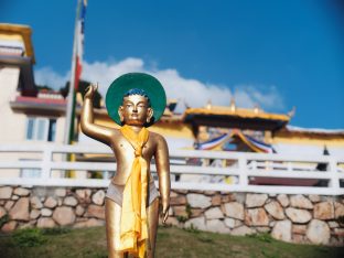 Thaye Dorje, His Holiness the 17th Gyalwa Karmapa, visits Dhagpo Sheydrub Ling. Photo: Tokpa Korlo