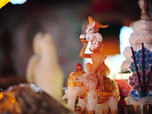Thaye Dorje, His Holiness the 17th Gyalwa Karmapa, visits Dhagpo Sheydrub Ling. Photo: Tokpa Korlo