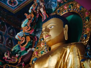 Thaye Dorje, His Holiness the 17th Gyalwa Karmapa, visits Dhagpo Sheydrub Ling. Photo: Tokpa Korlo