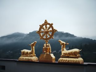 Thaye Dorje, His Holiness the 17th Gyalwa Karmapa, visits Dhagpo Sheydrub Ling. Photo: Tokpa Korlo