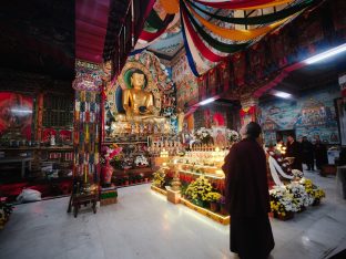 Thaye Dorje, His Holiness the 17th Gyalwa Karmapa, visits Dhagpo Sheydrub Ling. Photo: Tokpa Korlo