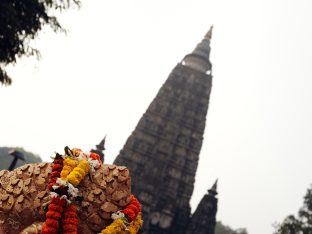 Kagyu Monlam 2024 at Bodh Gaya. Photo: Tokpa Korlo