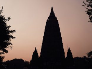 Kagyu Monlam 2024 at Bodh Gaya. Photo: Tokpa Korlo