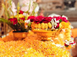 Kagyu Monlam 2024 at Bodh Gaya. Photo: Tokpa Korlo