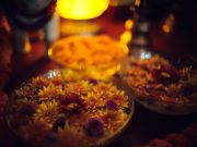 Thaye Dorje, His Holiness the 17th Gyalwa Karmapa, taught at the Public Meditation Course at the Karmapa International Buddhist Institute, 2025. Photo: Tokpa Korlo