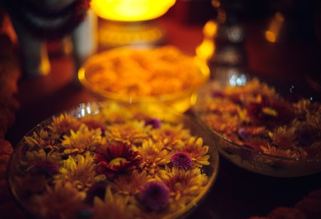 Thaye Dorje, His Holiness the 17th Gyalwa Karmapa, taught at the Public Meditation Course at the Karmapa International Buddhist Institute, 2025. Photo: Tokpa Korlo