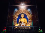 Thaye Dorje, His Holiness the 17th Gyalwa Karmapa, taught at the Public Meditation Course at the Karmapa International Buddhist Institute, 2025. Photo: Tokpa Korlo