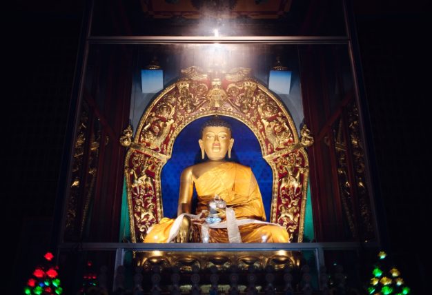Thaye Dorje, His Holiness the 17th Gyalwa Karmapa, taught at the Public Meditation Course at the Karmapa International Buddhist Institute, 2025. Photo: Tokpa Korlo