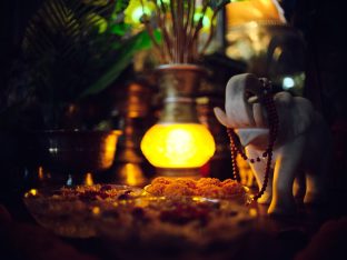 Thaye Dorje, His Holiness the 17th Gyalwa Karmapa, taught at the Public Meditation Course at the Karmapa International Buddhist Institute, 2025. Photo: Tokpa Korlo