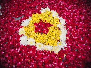 Thaye Dorje, His Holiness the 17th Gyalwa Karmapa, taught at the Public Meditation Course at the Karmapa International Buddhist Institute, 2025. Photo: Tokpa Korlo