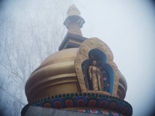 Thaye Dorje, His Holiness the 17th Gyalwa Karmapa, presided over the 23rd Kagyu Monlam at Bodh Gaya, in 2025. Photo: Tokpa Korlo.