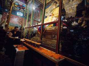 Thaye Dorje, His Holiness the 17th Gyalwa Karmapa, presided over the 23rd Kagyu Monlam at Bodh Gaya, in 2025. Photo: Tokpa Korlo.