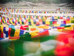 Thaye Dorje, His Holiness the 17th Gyalwa Karmapa, presided over the 23rd Kagyu Monlam at Bodh Gaya, in 2025. Photo: Tokpa Korlo.
